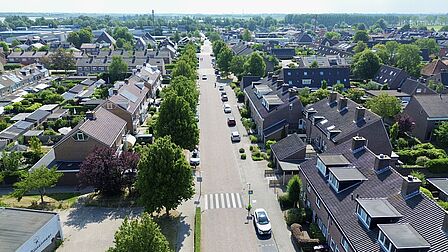 Populierenlaan van bovenaf